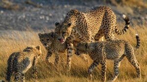 Photo by <a href="https://unsplash.com/@vr2ysl?utm_source=unsplash&utm_medium=referral&utm_content=creditCopyText">Sammy Wong</a> 
