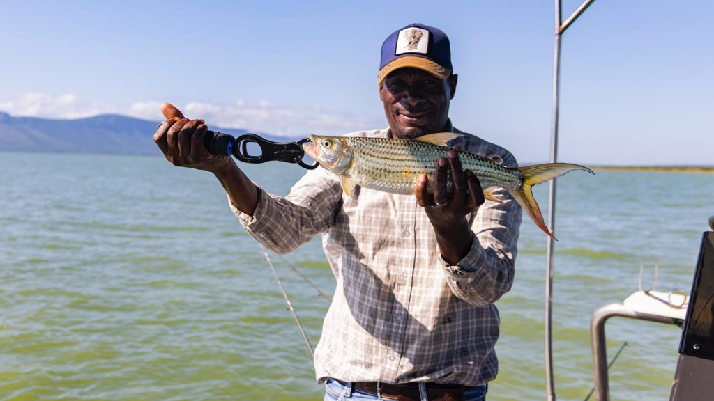 Tiger fishing