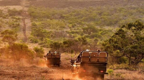 Bayala Private 3 | I Heart Safaris