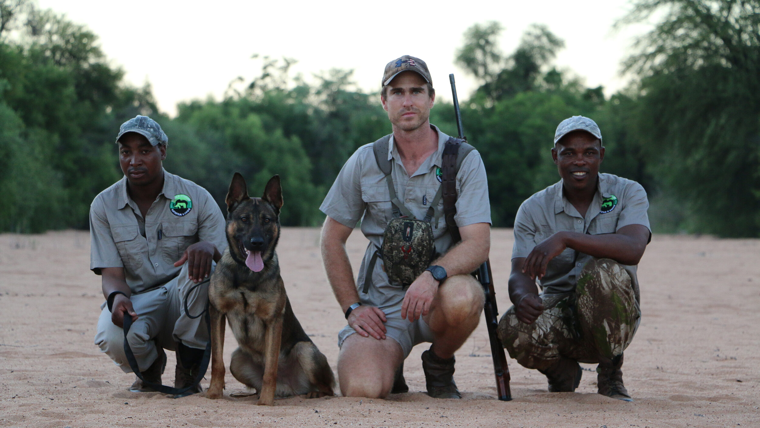 Dogs for wildlife