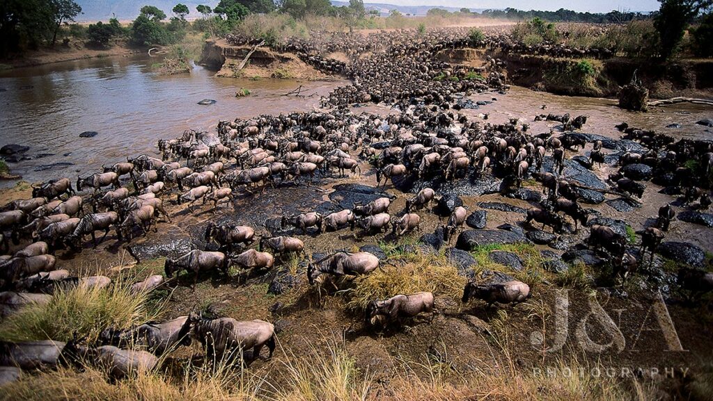 | I Heart Safaris Safari Etiquette