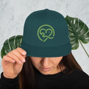 Snapback Hat