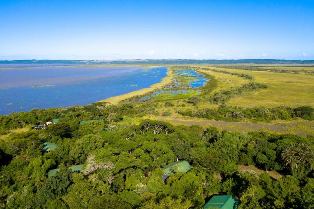 Aerial view of a coastal wetland with a blue lagoon, yellow marsh edges, and dense green vegetation in the foreground.
