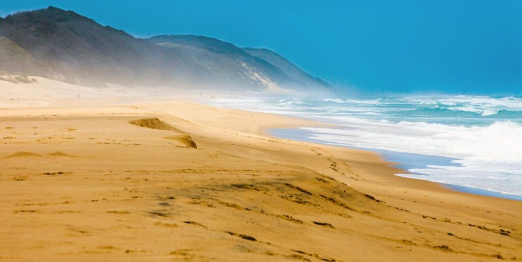 WhatsApp Image 2026-05-03 at 191544 3 | I Heart Safaris Golden beach with soft sand dunes, turquoise ocean waves, and forested hills in the distance under a blue sky.