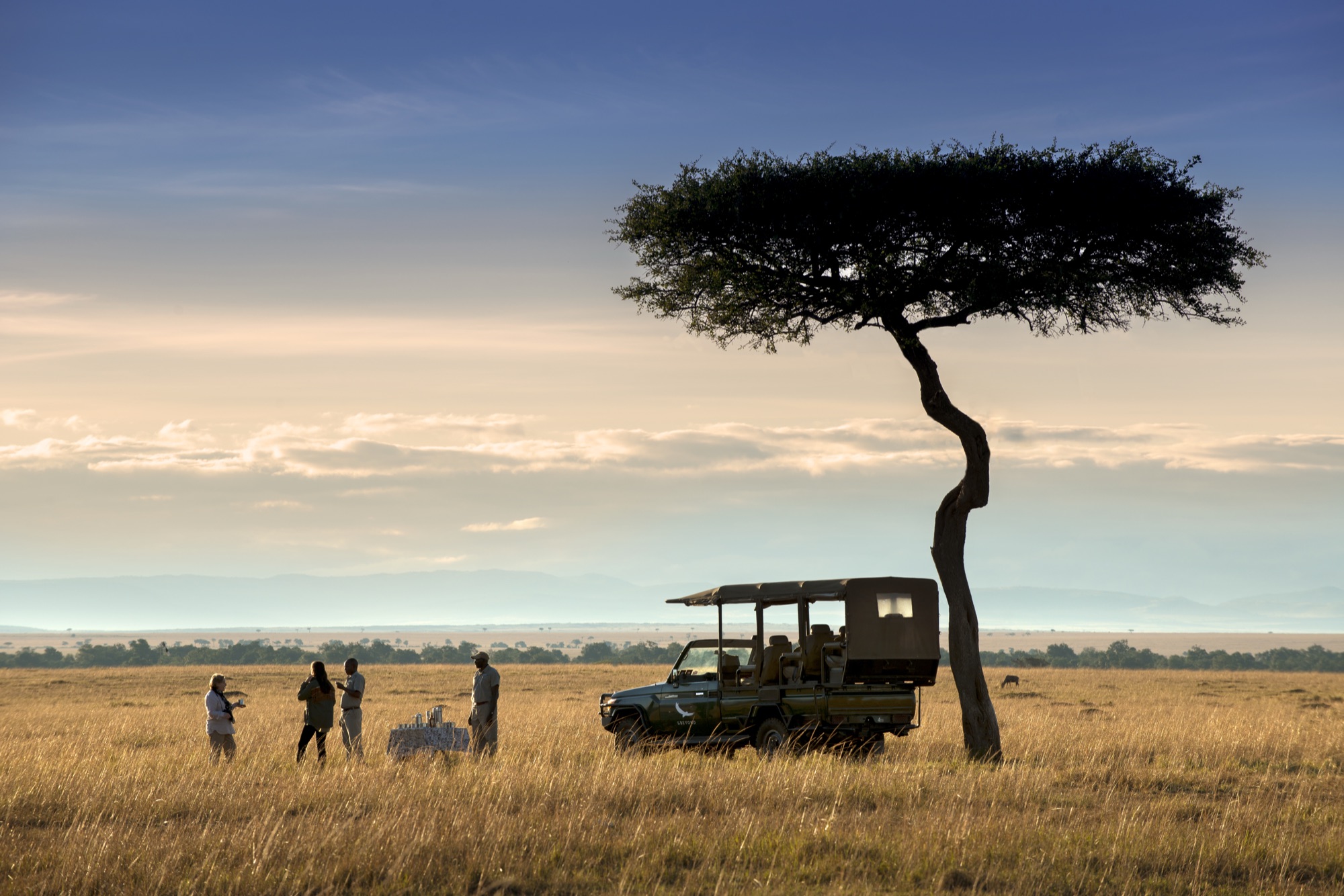 Morning game drive coffee stop at sunrise on the Masai Mara near Bateleur Camp